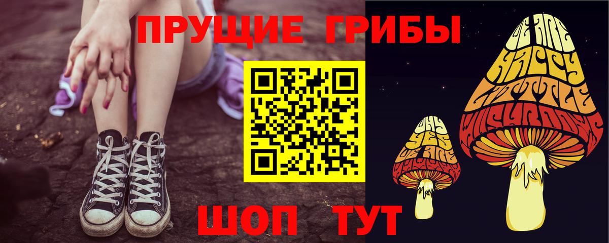 наркотики  Вход с VPN  Тара  Галлюциногенные грибы Cubensis 